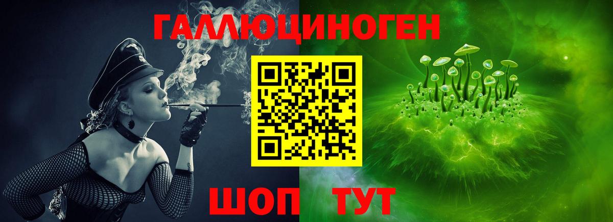 Псилоцибиновые грибы GOLDEN TEACHER  Вход с VPN  Дивногорск 