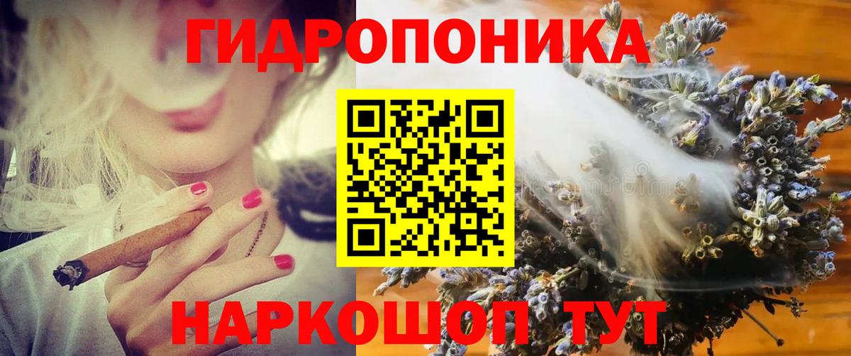 Марихуана конопля  Марихуана сатива  Бошки Шишки планчик  Конопля Bruce Banner  Дивногорск  Вход с VPN 